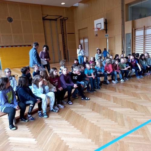 5 Freunde 2