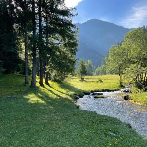 Landschaft