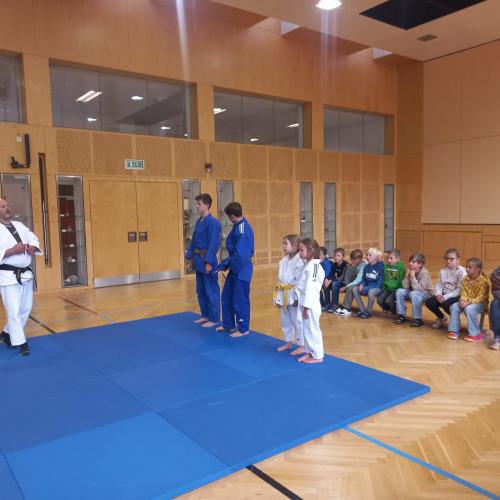 Judo-Vorführung