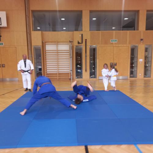 Judo-Vorführung