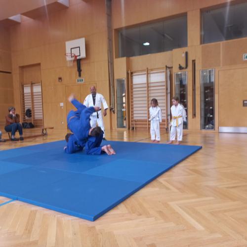 Judo-Vorführung