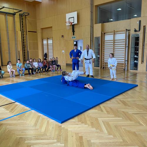 Judo-Vorführung
