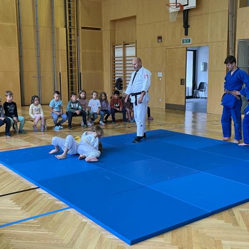 Judo-Vorführung