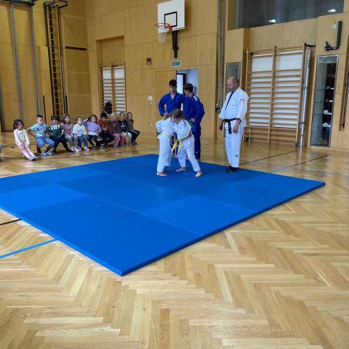 Judo-Vorführung