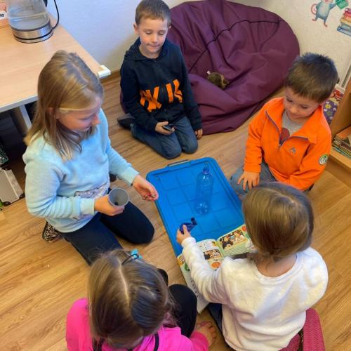 Kinder beim Versuch