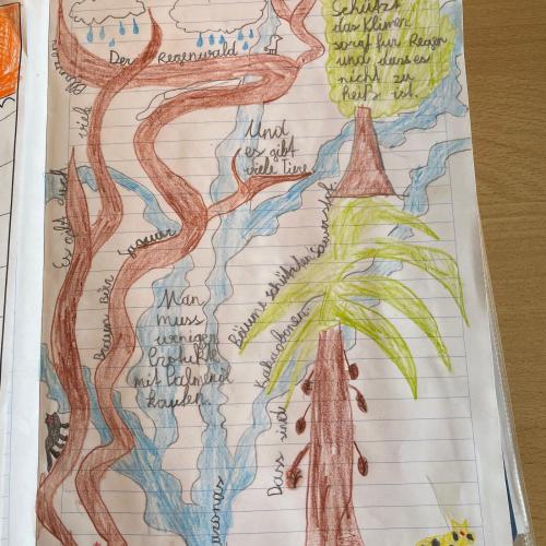 Regenwald-Hefteintrag