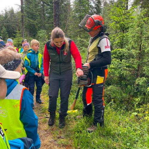 Kinder im Wald