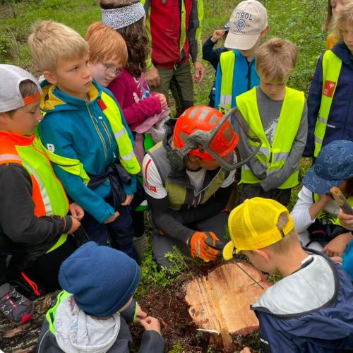 Kinder im Wald