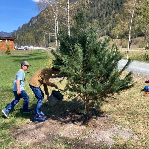Kinder beim Bäumepflanzen